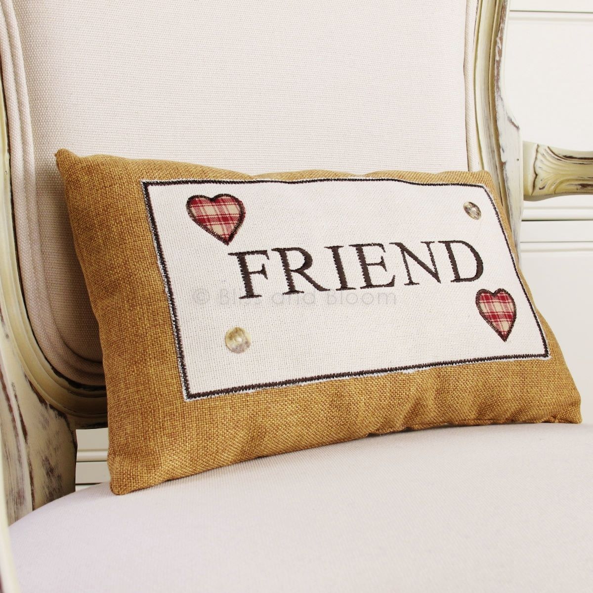 FRIEND cushion Bliss and Bloom Ltd