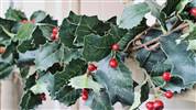 Holly garland 6ft