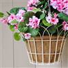 Large cream hanging basket