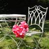 Cream French style chair