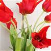 Red tulips in a trumpet vase