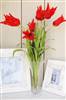 Red tulips in a trumpet vase