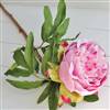 Pink medium head peony stem x1