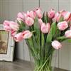 Short stem pink tulip x 1