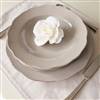 French style dinner set 20pc