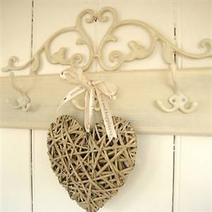 Beautiful scroll wall hook