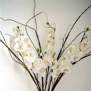 Long faux willow branch
