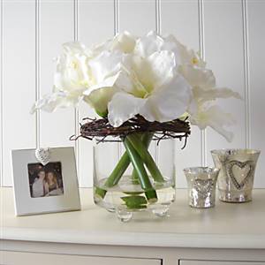 Amaryllis with twigDISCONTINUED