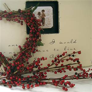 Red spray of berries x 1