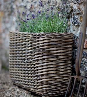 Willow planter