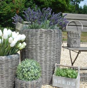 Large willow planter