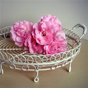 Cream wire tray on legs