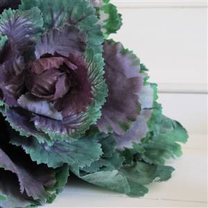 Purple faux cabbage x 1