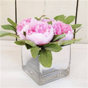 Pink peonies in square vase