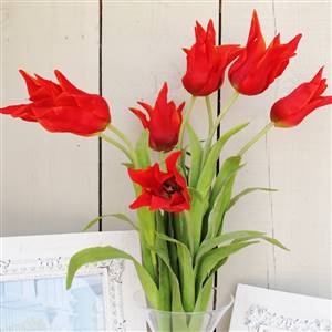 Red Tulips in Trumpet Vase