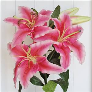 Large Pink Lily Stem x 1