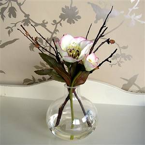 Hellebourous in small vase