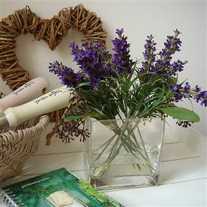 Lavender with skimma