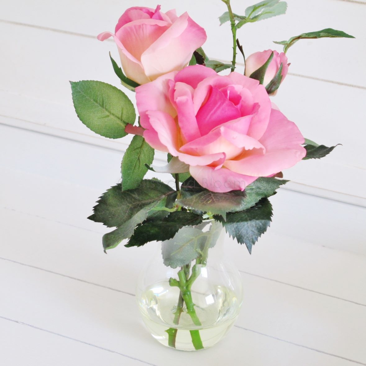 Pink double roses with bud | Bliss and Bloom