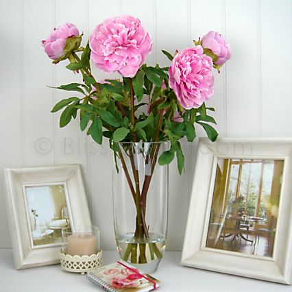 Large peonies in tall vase | Bliss and Bloom